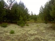 Рудня-Городище з panoramio.com