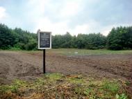 Ямпіль з panoramio.com