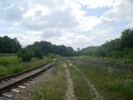 Нігин з panoramio.com