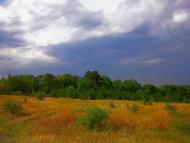 Щасливе з panoramio.com