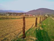 Малий Березний з panoramio.com