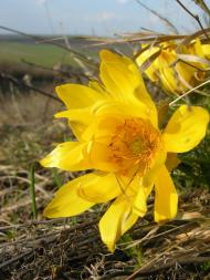 Новопавлівка - Останні фото