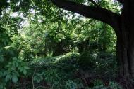 Селець з panoramio.com