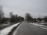 Золотухи з panoramio.com