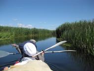 Піски-Річицькі з panoramio.com