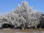 Нижні Сірогози з panoramio.com