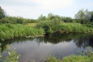 Селець з panoramio.com