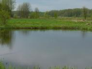 Мартинівка з panoramio.com