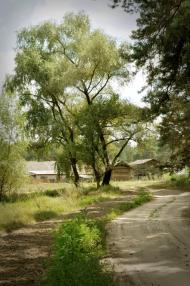 Серебрянка з panoramio.com