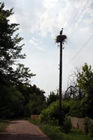 Селец - Последние фото