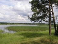 Мартинівка з panoramio.com