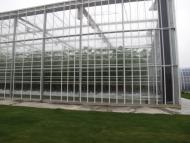 Синьків - Останні фото