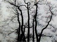 Верхньодеревечка з panoramio.com