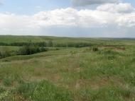 Верхньодеревечка - Останні фото