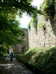 Теребовля з panoramio.com