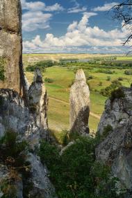 Білокузьминівка з panoramio.com