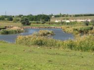 Московка з panoramio.com