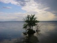 Циблі з panoramio.com