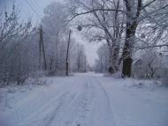 Komory - Latest photos