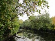 Боброве з panoramio.com