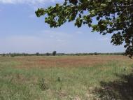 Подо-Калинівка з panoramio.com