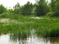 Тайки з panoramio.com