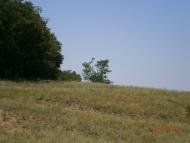 Колядівка з panoramio.com