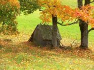 Вишків з panoramio.com