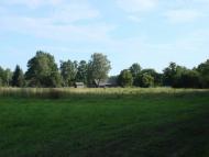 Хрипськ з panoramio.com