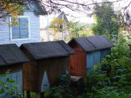 Снятинка з panoramio.com