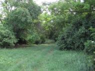 Інгулка з panoramio.com