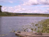 Максаки з panoramio.com