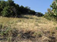 Запрудне з panoramio.com