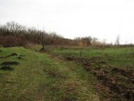 Литвинівка - Останні фото