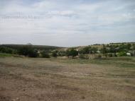 Новодмитрівка з panoramio.com