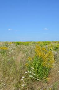 Сеньківка - Останні фото
