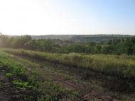 Катеринівка з panoramio.com