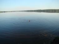 Орлівське з panoramio.com