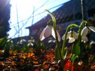 Сухолужжя з panoramio.com