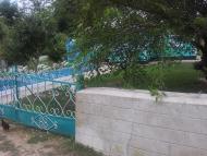 Бахтинок - Останні фото