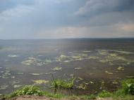 Циблі з panoramio.com