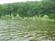 Рокитне з panoramio.com