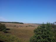 Караван - Останні фото