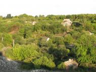 Малинове з panoramio.com