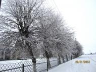 Кам'янка-Бузька з panoramio.com