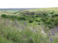 Олексіївка - Останні фото