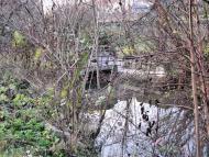 Маків з panoramio.com