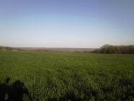 Хрящувате з panoramio.com