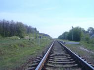 Шевченка - Останні фото