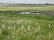 Ракове з panoramio.com